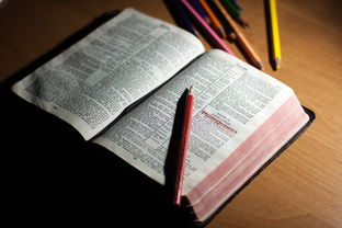 爱游戏官方网站-体育教师能力认证制度在试点城市启动，体育教师资格证认定条件